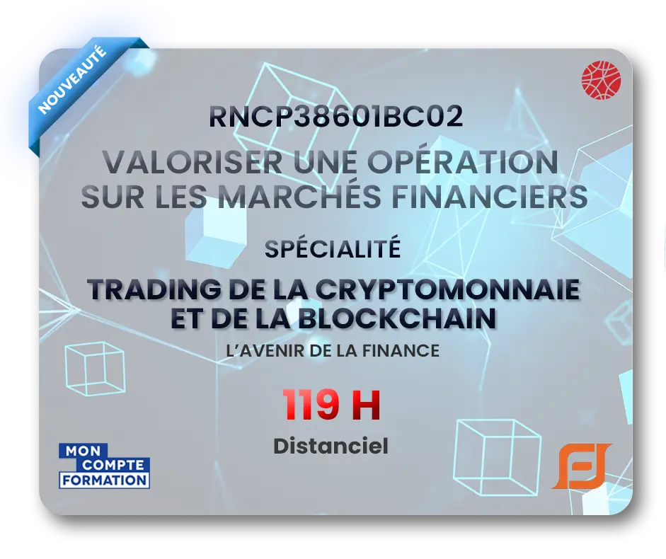 Formation logiciel trading ninjatrader